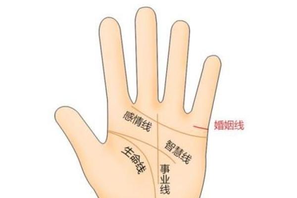 揭秘：手相奥秘，左手右手哪个更准？