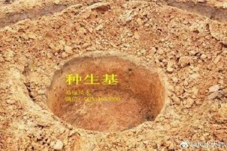 墓地风水：揭秘对后辈命运的神秘影响