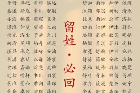 起名忆：为你定制专属的名字秘籍