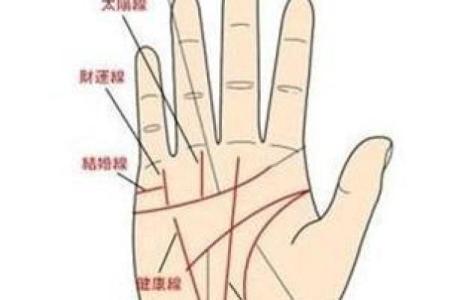 手相解密：女子掌中藏乾坤，一把握住怀胎几多娇