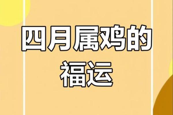 鸡缘天定？揭秘同属鸡的绝佳搭配