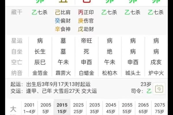 八字排盘图解大全，让你轻松读懂命运走势