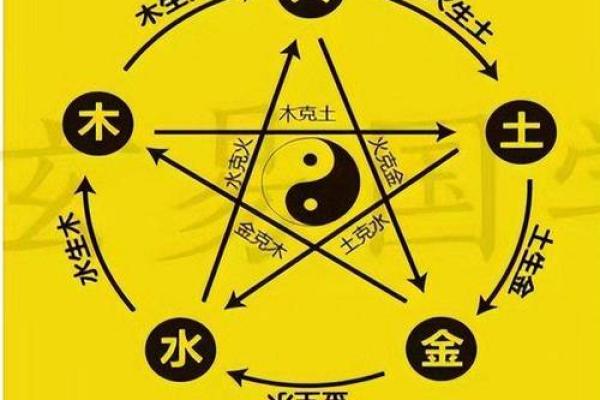 为什么说韶字五行很特别？深入了解它的五行含义