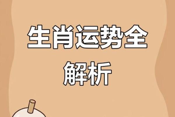 生肖运势大揭秘：2023年十二生肖运势爆表