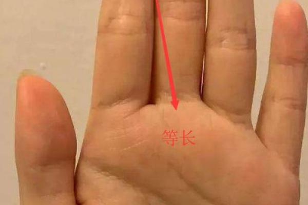 手相揭秘：无名指上的1预示着你的人生财运爆发