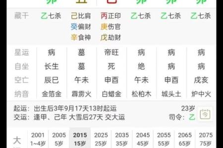 八字排盘图解大全，让你轻松读懂命运走势