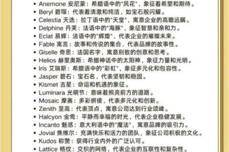 如何为有限公司起一个响亮又合法的名字