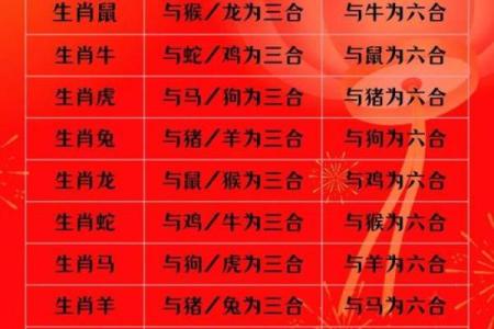 属相解码：揭秘龙虎搭配的神秘魅力