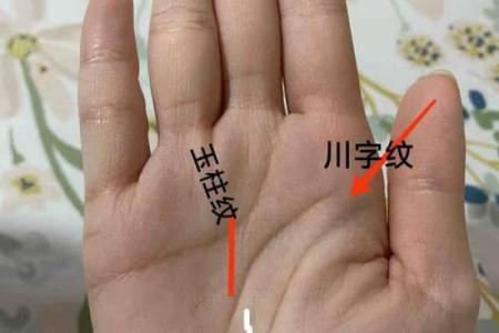 川字纹事业线：揭秘手相中的财富密码