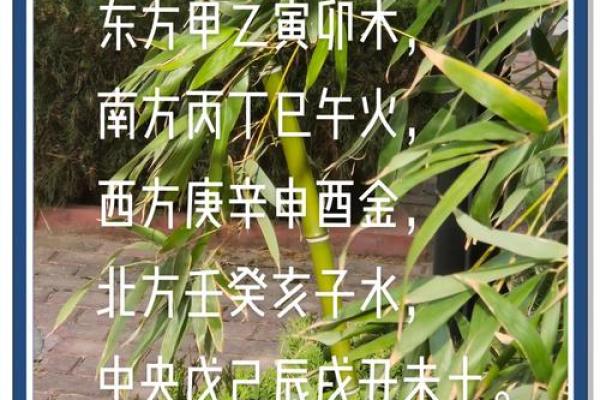 余五行解密：五行与命运的神奇联系