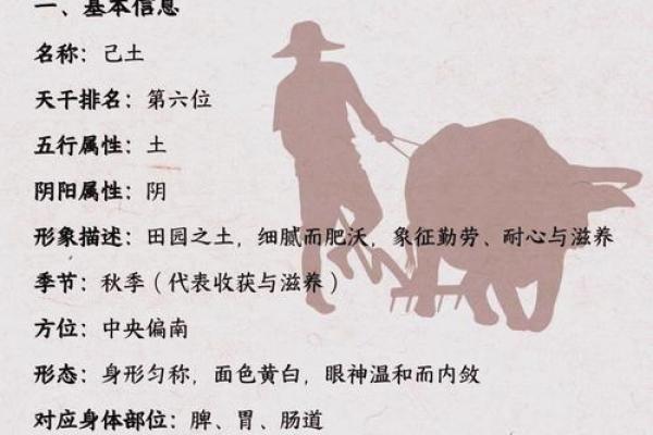 揭秘五行属土的行业：你知道哪些行业属于土行吗？