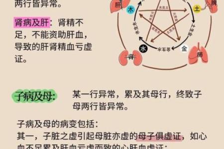 满五行属什么？揭开五行奥秘的真相