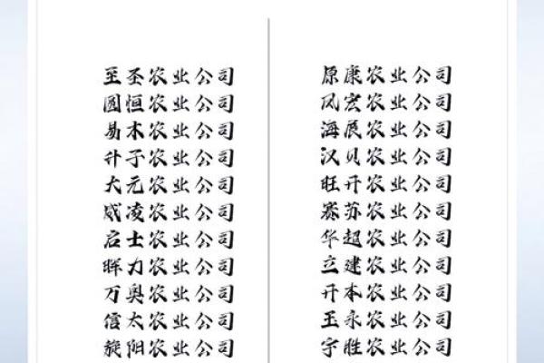 从如何为新公司选择一个爆款名字