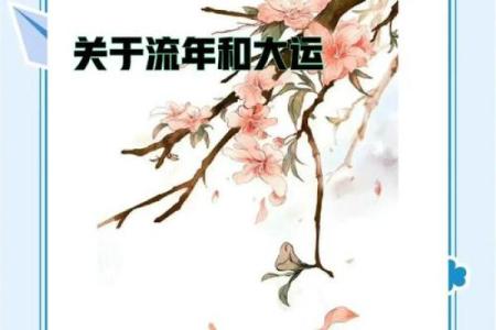 天喜流年运势大揭秘