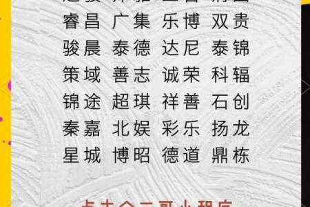 免费公司起名软件，开启品牌成功第一步