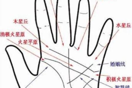 手相三线深长，揭秘财运亨通的秘密