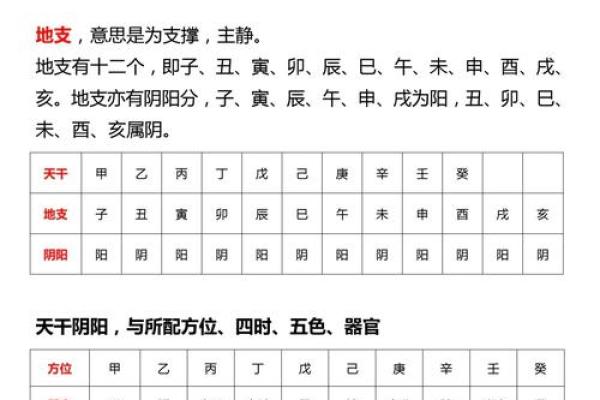 从零开始学十天干十二地支