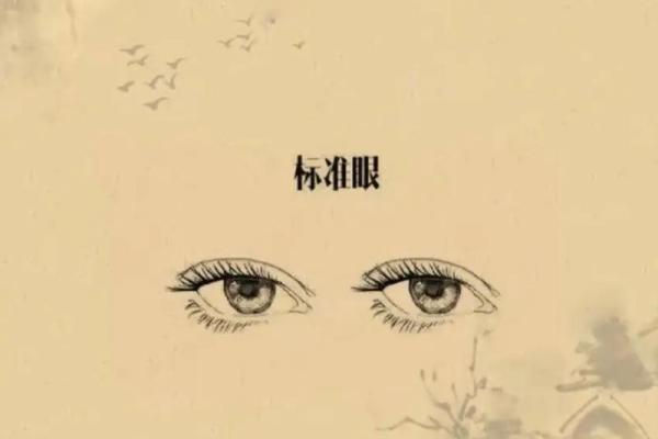 面相揭秘：学历高低一眼辨，揭秘你的智慧层次