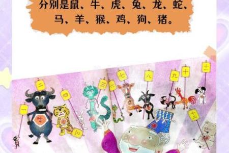 香港生肖风云录：揭秘十二生肖的传奇故事
