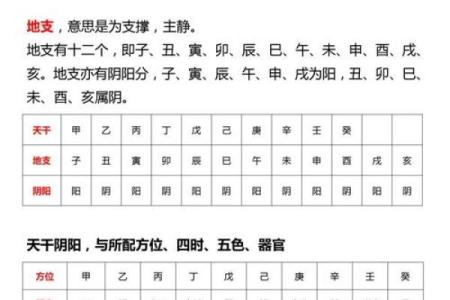从零开始学十天干十二地支