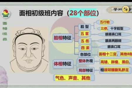 面相揭秘：学历高低一眼辨，揭秘你的智慧层次