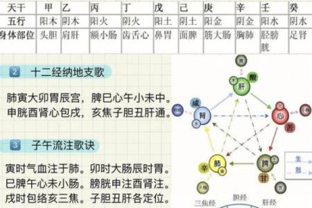 为什么天运五行与日主天干决定了你的财富与事业？