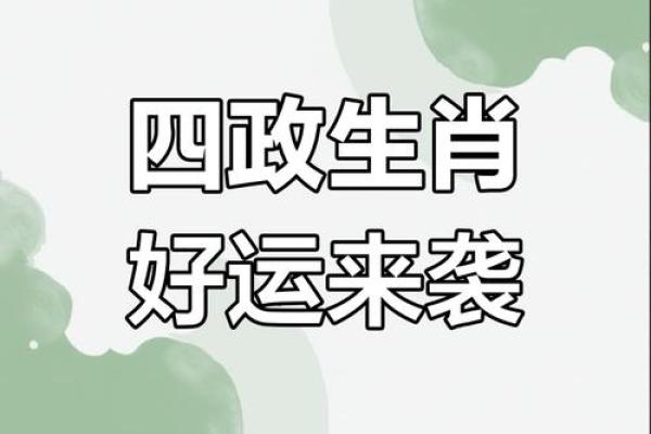 昨晚运势大揭秘：生肖运势哪家强？