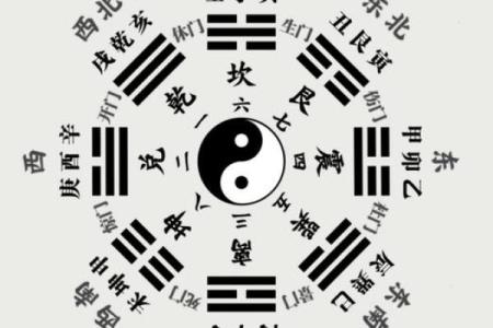 命主朝阳，揭秘运势巅峰的秘密