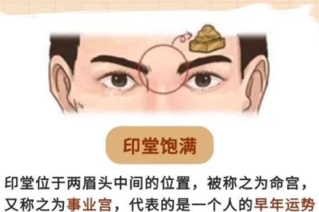 一秒识人，掌握面相秘诀，从此成为面相大师