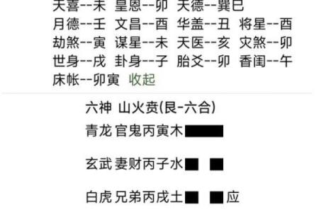 玄空梅花排盘入门教程，快速掌握精准命理分析技巧