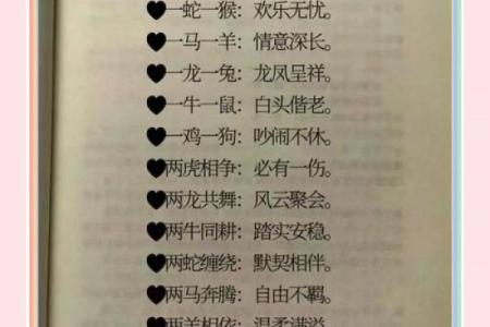 属猪人的命运玄机：财富、健康与婚姻全揭秘
