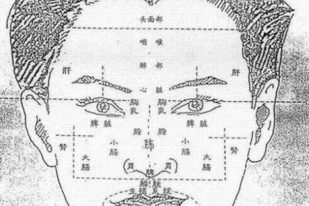 命理全息占断法：如何通过全息图解读人生轨迹