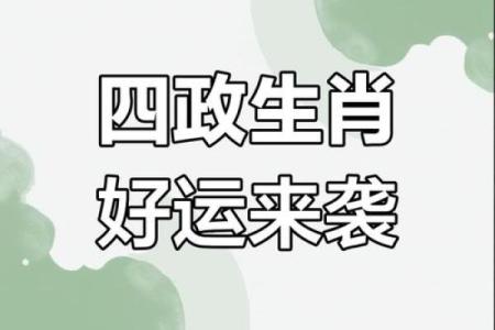 昨晚运势大揭秘：生肖运势哪家强？