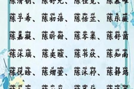 起名典揭秘：如何让名字更具个性与魅力