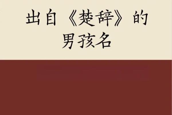 施姓男孩起名大全，寓意深远又独特