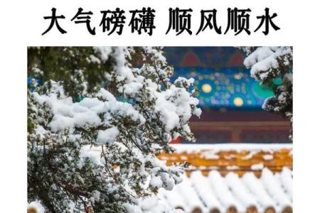 施姓男孩起名大全，寓意深远又独特