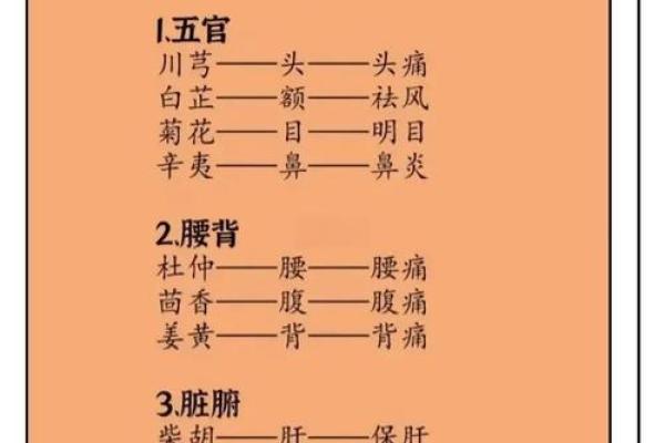 中药秘籍，揭秘风水养生神奇功效