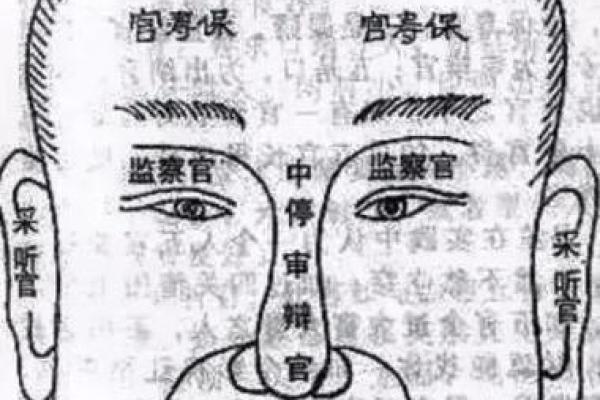 面相揭秘：13种神级面相特征，揭秘你的运势与命运