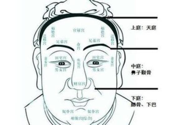 面相揭秘：13种神级面相特征，揭秘你的运势与命运