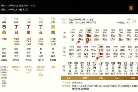 甲申月癸未日命理深度剖析：如何影响你的未来