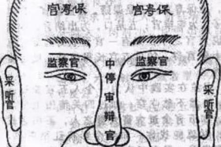 面相揭秘：13种神级面相特征，揭秘你的运势与命运