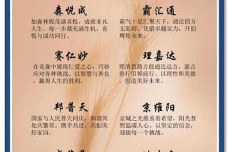 沙石公司起名大全：助你轻松打造独特企业形象