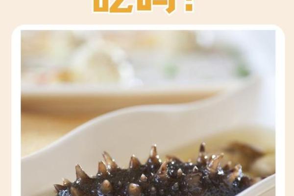 给海参取个名字，带你走进美味的世界