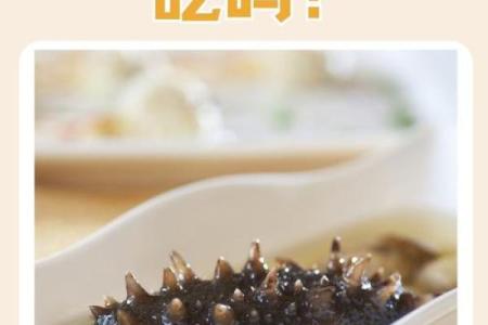 给海参取个名字，带你走进美味的世界