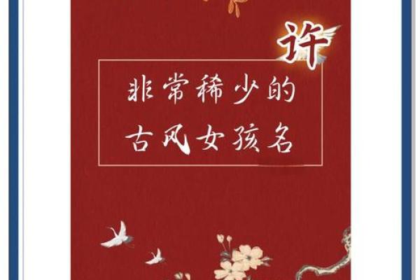 许氏宝宝起名参考指南