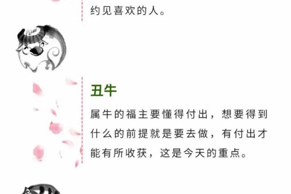 十二生肖塔：揭秘生肖运势，财富福运一网打尽