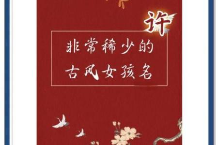 许氏宝宝起名参考指南