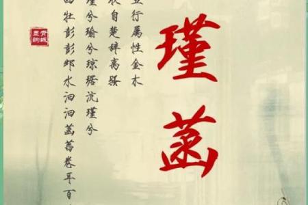 用《楚辞》为男孩起个高雅名字，寓意深远