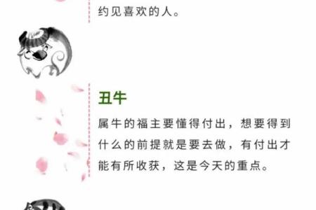 十二生肖塔：揭秘生肖运势，财富福运一网打尽