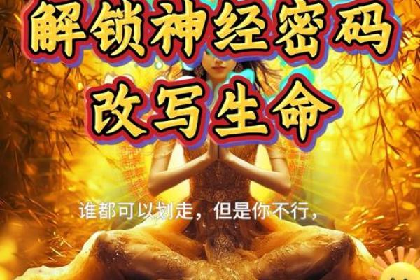 揭秘火金命：你的命运密码，财富与成功的秘密
